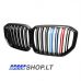 BMW X5 (G05) Performance priekinės grotelės